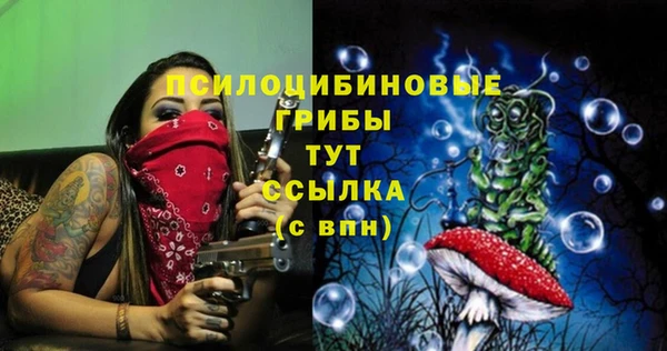 ALPHA PVP Баксан