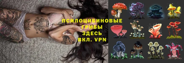 ALPHA PVP Баксан