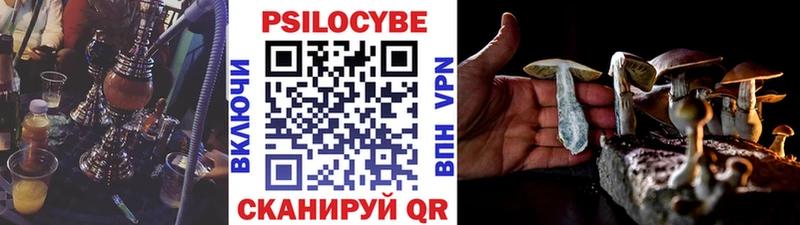 Галлюциногенные грибы Magic Shrooms  Купить  Старица 
